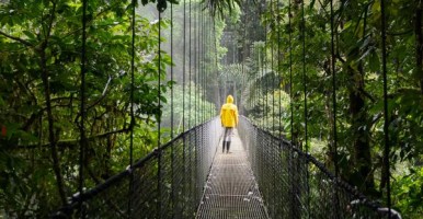 Costa Rica suspension bridge